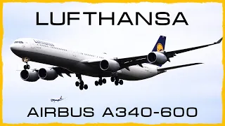 Wonderful LUFTHANSA Airbus A340-600 landing @ Frankfurt International Airport // Close up