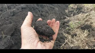 як правильно зайти в технологією no-till