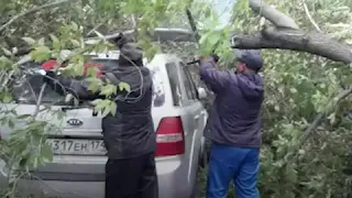 Челябинск: ветер повалил деревья во дворе
