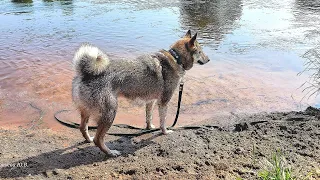 Вижу цель не вижу препятствий