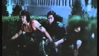 BLACK DRAGON's REVENGE ron van clief vs charles bonet 1975 aka DEATH OF BRUCE LEE