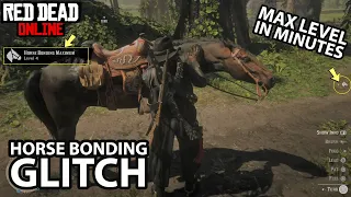 Horse Bonding Glitch Max Level in Minutes in Red Dead Online