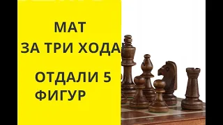 Шахматы. Мат за 3 хода. Победа без фигур. Отдали ферзя, слона, коня и две пешки.  онлайн. бесплатные