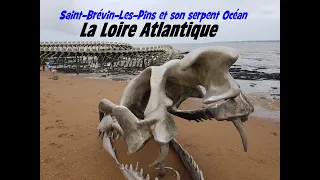 Saint Brévin Les Pins et son serpent Océan 2022