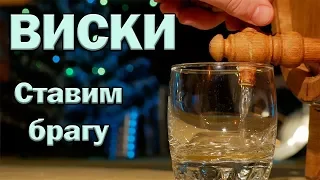 ВИСКИ! Делаем брагу (Все этапы приготовления)