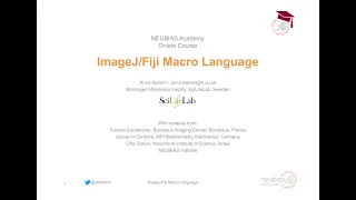 ImageJ/Fiji Macro Language - [NEUBIASAcademy@Home] Course