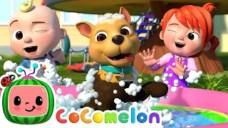 Bingo's Bath Song 🍉 CoComelon Nursery Rhymes & Kids Songs 🍉🎶Time for Music! 🎶🍉