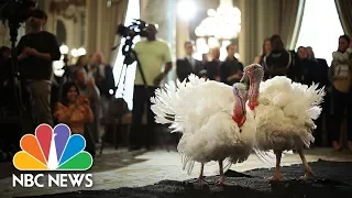 President Donald Trump Leads Turkey Pardoning At White House | NBC News