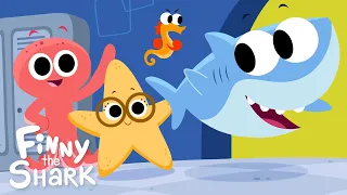 Line Up | Children's Song | Finny the Shark