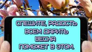 Спешите, РАДОСТЬ всем дарить🥰ПРЕКРАСНОГО ВЕСЕННЕГО ДНЯ 😁ЧУДЕСНОГО НАСТРОЕНИЯ 🎶Музыкальная открытка