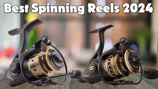 Best Spinning Reels 2024  - Don't Choose Wrong! (I did at first)