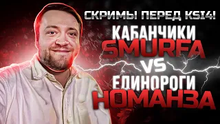 СКРИМЫ ПЕРЕД KSI4! Кабанчики Smurfa vs Единороги Номанза #smurf_tv #nomanz #flashinthenight