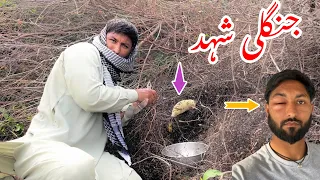 Bohat Bura Howa | Natural Honey Harvesting