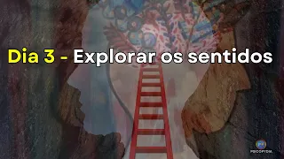 Dia 3 - Explorar os sentidos