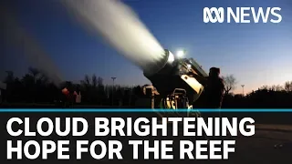 Great Barrier Reef coral bleaching to be tackled in cloud-brightening experiment | ABC News