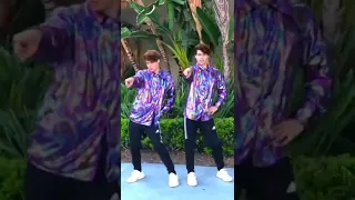 Evolution of dance   stokes twins