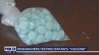 Researchers testing fentanyl 'vaccine' | FOX 13 Seattle