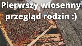 #81 Pierwszy wiosenny przegląd rodzin. Sprawdzam pokarm i obecność matek (14-15.03.2022)