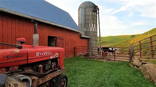 Filling a Silo on a Small Dairy Farm! l Harvest 2022