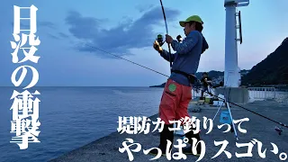 大物が連発。堤防カゴ釣りってやっぱりスゲェ…！初めての夜カゴ釣りに挑戦してみた