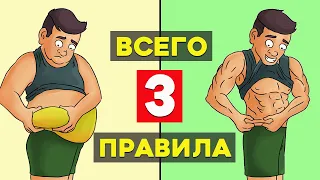 Всего 3 правила чтобы Гарантированно Похудеть