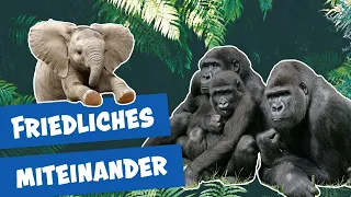 Ein Elefantenbaby im Zoo Berlin I Panda, Gorilla & Co.