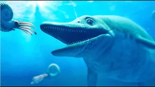 The story about the Ichthyosaurs | Evolution Story