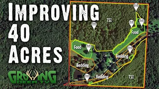 Great Hunting Coming Soon To This 40 Acres  @GrowingDeerTV (641)