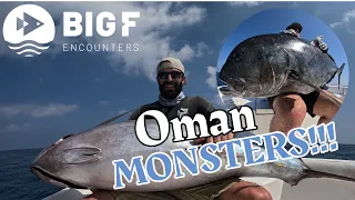 Oman fishing for Monster GT