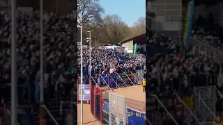 Fans 1. Fc Saarbrücken