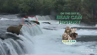 On This Day In Bear Cam History | Grazer's Cubs Waterslide Over the Falls