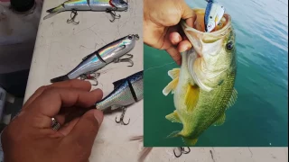 Swimbaits: Savage Gear Shine Glide & 3D Glide Swimmer  - Getting DESTROYED!!!