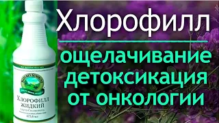 Хлорофилл - жизненно необходим современному человеку! Глоток жизни для оздоровления!