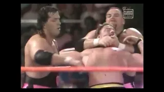 The Hart Foundation Vs The Killer Bees (06-20-1988)