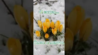 Привет! А скоро Весна! Открытка