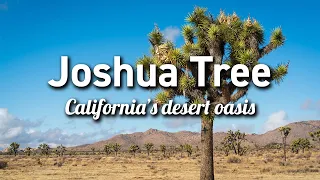 Joshua Tree National Park (California)