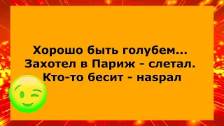 Самые смешные анекдоты в мире 😉для хорошего настроения  😉Юмор, смех и позитив