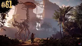 Прохождение Horizon Zero Dawn Часть 61 Без комментариев