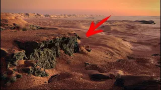 Mars perseverance rover capture Green grasses appear among the rocks of the surface of Mars