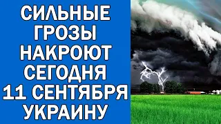 ПОГОДА НА 11 СЕНТЯБРЯ : ПОГОДА НА СЕГОДНЯ