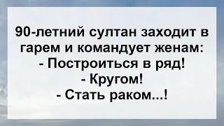 Старый Султан в гареме командует Женам ...! Подборка Самых Смешных Анекдотов для Настроения!