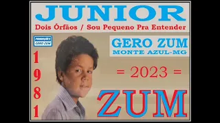 Junior - Dois Órfãos / Sou Pequeno Pra Entender - Gero_Zum...