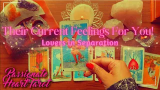 All Signs! Their Current Feelings For You ✧ Lovers In Separation