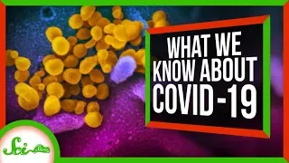 Is COVID-19 a Pandemic? | March 2020 Update