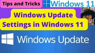 Windows Update Settings in Windows 11