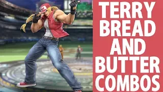 Terry Bread and Butter combos (Beginner to Pro)