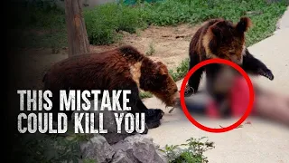 The Worst Things To Do in a Bear Attack