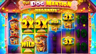 INSANE HITS On DOG HOUSE MEGAWAYS SLOT!! (RARE BONUS)