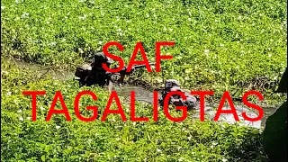 SAF TAGALIGTAS