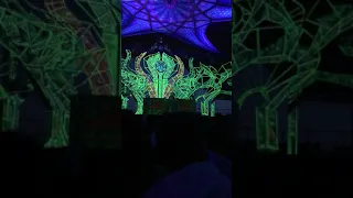 Hydra-E Boom Festival 2018 Dance Temple